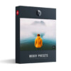 Presetpro Moody Lightroom Presets and Profiles