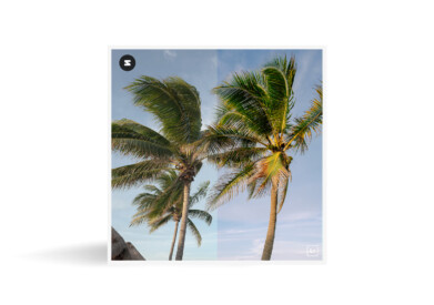 Free Lightroom Preset Cali Color B/A Presetpro.com