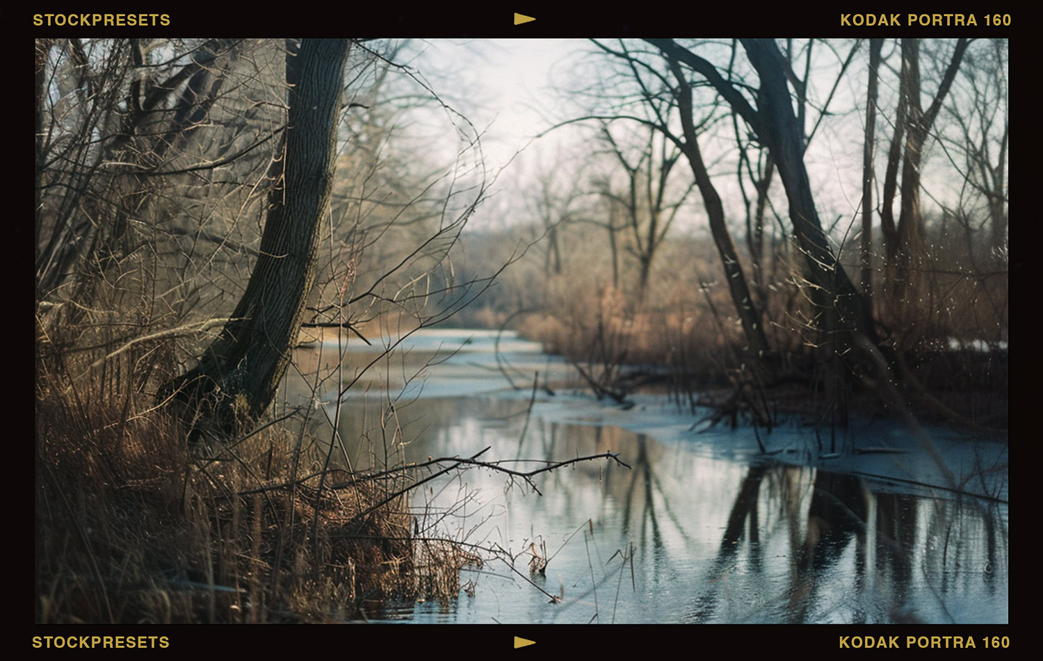 River Landscape Photography with Kodak Portra 160